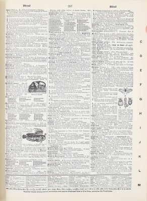 [Собрание В.Г. Лидина]. [Новый международный словарь английского языка Вебстера. 2-е изд., несокр. Спрингфилд: G & C Merriam company, 1948]. 